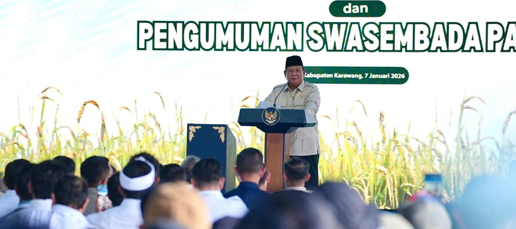 Sukses Panen Padi 8 Ton per Hektare, Petani Cianjur Raih Satyalancana Wira Karya dari Prabowo