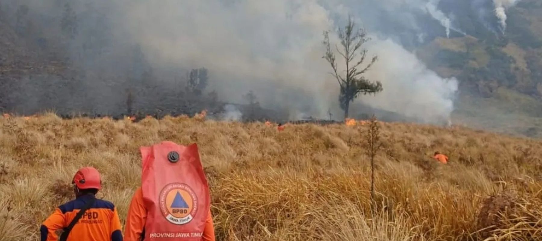 Petugas gabungan memadamkan kebakaran di kawasan Gunung Bromo yang terus meluas pada Selasa, 4 Agustus 2026.