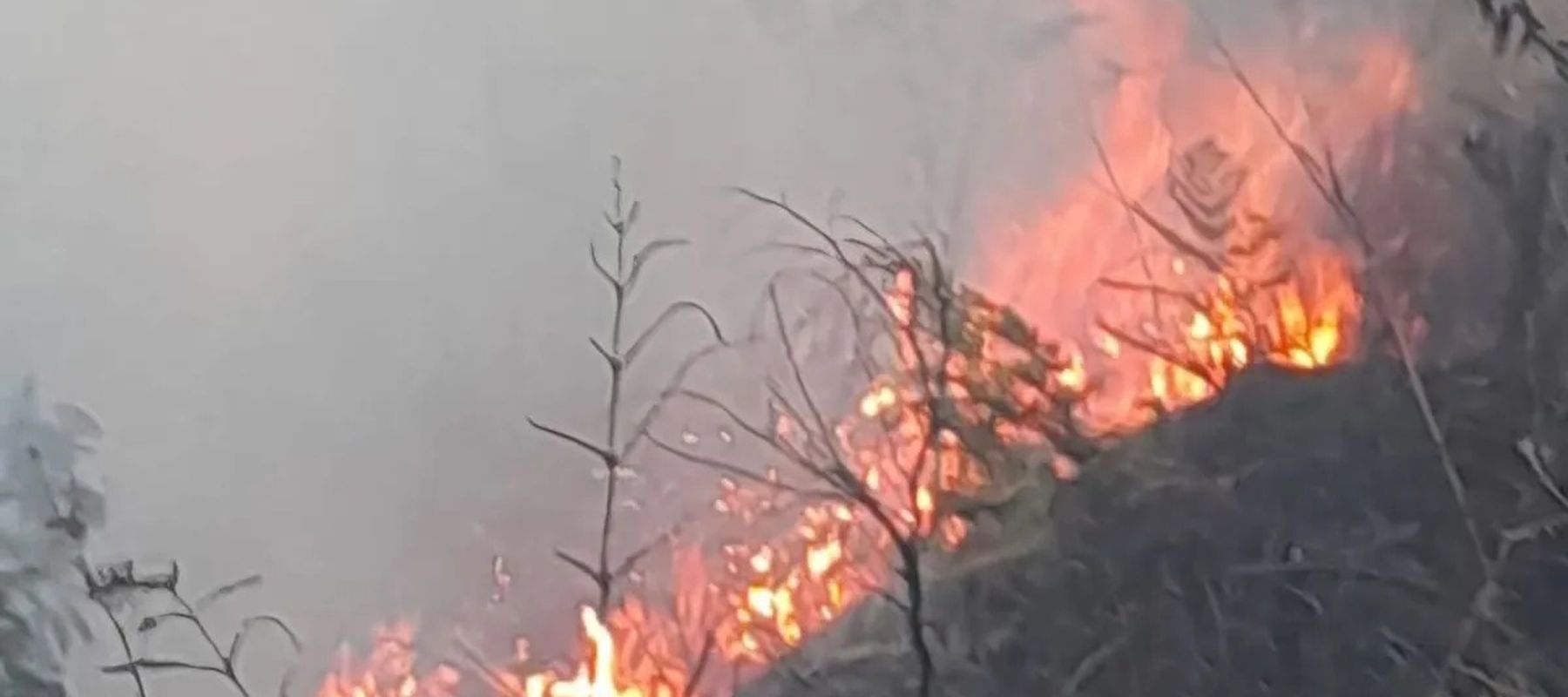 Kobaran api yang muncul di Blok Bantengan kawasan Taman Nasional Bromo Tengger Semeru (TNBTS), Senin, 3 Agustus 2026.