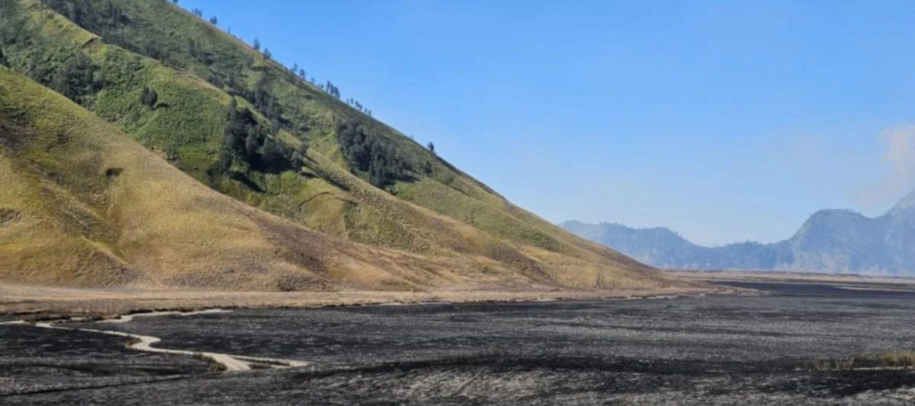 Penampakan savana di Gunung Bromo, Jawa Timur, Minggu, 9 Agustus 2026 nampak berwarna hitam seusai meluasnya titik api, pada Sabtu, 8 Agustus 2026.