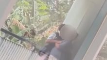 Ayah Mahasiswa PNJ yang Kepergok Ciuman Sesama Jenis Datang Meminta Maaf hingga Bersujud