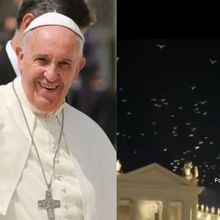 Viral! Ratusan Burung Tiba-tiba Terbang di Atas Basilika Santo Petrus Jelang Pemakaman Paus Fransiskus