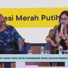 Pakar: Saya Senang Sekali Prabowo 100 Persen Dukung Transisi Energi Bersih di Indonesia