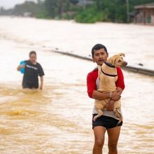Hujan Ekstrem Sebabkan Banjir di Thailand Selatan, Tewaskan 87 Orang