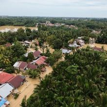 Aksi Dramatis Tim SAR Evakuasi Warga di Banjir Bireuen yang Naik Pohon Kelapa