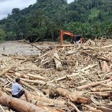 Walhi Bongkar Sumber Bencana di Sumatera yang Tewaskan 604 Orang