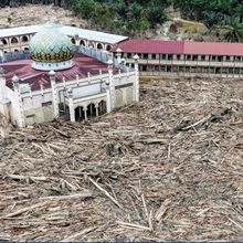 Bencana Sumatera, Menteri LH Setop Operasional 4 Perusahaan di Batang Toru