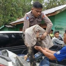 Jumlah Korban Tewas Bencana Alam di Sumut Naik Menjadi 369 Orang