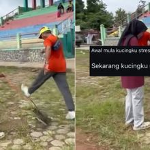 Aksi Pria Tendang Kucing hingga Mati Viral di Blora, Polisi Buru Pelaku
