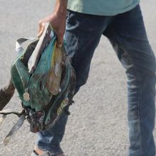 AS Selidiki Serangan Udara ke Sekolah Putri di Iran yang Tewaskan 168 Siswi