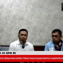 Penahanan Videografer Amsal Sitepu Ditangguhkan, DPR RI Turun Tangan Jadi Penjamin