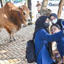 Menag: Idul Adha Jadi Momentum Berbagi dan Wujud Kepedulian Lintas Agama