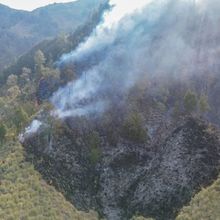 Bareskrim Tetapkan 72 Tersangka Kasus Karhutla di 9 Wilayah Indonesia