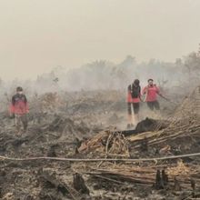 Asap Karhutla Kalimantan Barat Sampai Malaysia, Enam Sekolah di Sarawak Ditutup