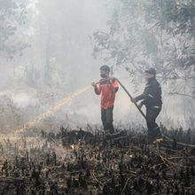 Buntut Kabut Asap Karhutla, Malaysia Tutup Hampir 600 Sekolah di Sarawak