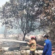 Tim Gabungan Padamkan Karhutla di 13,8 Hektare Kawasan Hutan Konservasi Kaltim