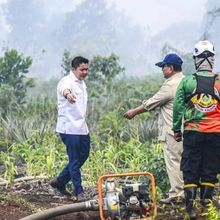 Kebakaran Hutan, Kemlu Sebut Belum Ada Protes dari Negara Tetangga 