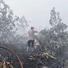 Cek Fakta: Haji Isam Ditunjuk sebagai Koordinator Penanganan Karhutla di Kalimantan?
