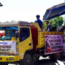 BNPB Salurkan 1.954 Ton Bantuan untuk Korban Gempa NTT