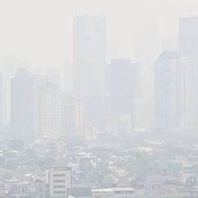 8 Bos Perusahaan Sawit Indonesia Bertemu Menteri Singapura