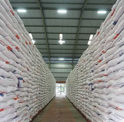 Terbaru! Cadangan Beras Pemerintah Tembus 4 Juta Ton