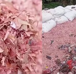 Terpopuler: Viral Temuan Cacahan Uang di TPS Liar Bekasi, Prabowo Bolehkan BNPB Pinjam Duit ke Spanyol