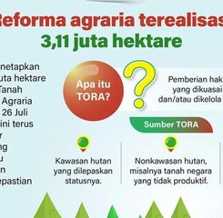 Infografik: Reforma Agraria Capai 3,11 Juta Hektare, Pemerintah Percepat Program TORA
