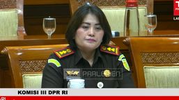 Soal Penangguhan Penahanan Amsal Sitepu, Kajari Karo Ngaku Salah