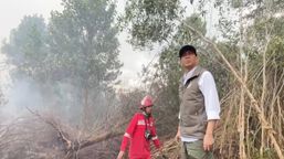 Menhut Tekankan Pemantauan Hotspot untuk Cegah Karhutla Meluas