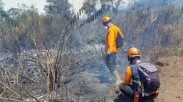 Karhutla Meluas, Lima Kawasan Pegunungan di Jatim Dilanda Kebakaran