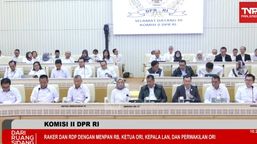 Ketua Ombudsman Tak Hadir Rapat dengan DPR, Gara-gara Bandara Soetta Ditutup