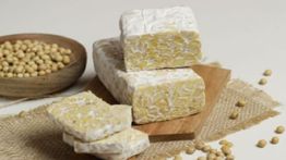 MBG Dongkrak Permintaan Kedelai, UMKM Tempe Tumbuh Pesat