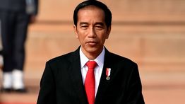 Jelang Lengser, Jokowi Mulai Kemasi Barang-barang Pribadi dari Istana ke Solo