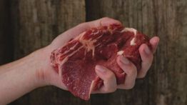 Menag: Distribusi Daging Kurban Istiqlal Diprioritaskan untuk Pesantren dan Panti Asuhan