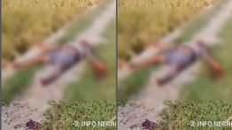 Pria Tewas Mengenaskan di Pinggir Sawah Bersimbah Darah