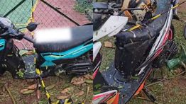 Penampakan Motor di Parkiran FIB Universitas Indonesia yang Gepeng Tertimpa Pohon Tumbang