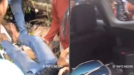 Video Detik-detik CRV dan Nissan Trail Remuk Tertimpa Pohon Besar