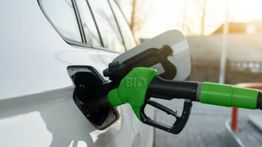 Jepang Targetkan Semua Mobil Baru Pakai Biofuel pada 2030