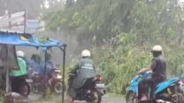 Pohon Tumbang di Jalan RE Martadinata Ciputat, Lalu Lintas Macet