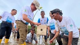 Freeport Indonesia Pulihkan Ekosistem Mangrove Lewat Program "Mangrove for Life"