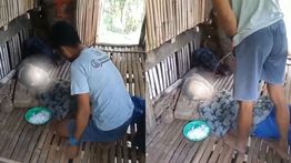 Anak Durhaka! Pemuda Ini Tega Kencingi Ibu Kandungnya, Langsung Tuai Kecaman