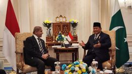 Presiden Prabowo dan PM Pakistan Bahas Kerja Sama Ekonomi dalam Pertemuan Bilateral