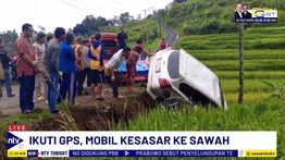 Andalkan Google Maps, Mobil Wisatawan Asal Jakarta Terperosok ke Sawah di Kuningan