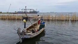 Legislator Tegaskan Tidak Ada Koordinasi Terkait Pembangunan Pagar Laut di Kamal Muara