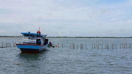 Diduga Perintahkan Pemasangan Pagar Laut, Kades di Tangerang Langsung Bantah