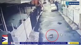 Keji! Pria di Kelapa Gading Tembak Kucing Pakai Senapan Angin, Ternyata Gegara Ini