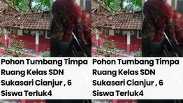 Pohon Tumbang Timpa Sekolah, 6 Siswa Terkapar