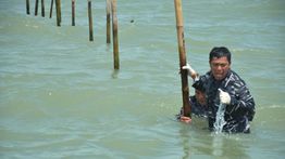 Pagar Laut Dibongkar Sepanjang 22,5, TNI AL Perkuat Pengawasan Perbatasan Laut