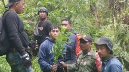 Kata TNTBS Soal Video Ladang Ganja-Larangan Drone di Bromo Tengger Semeru