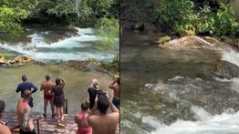 Ngeri, Pria Rela Gigit Ular Besar untuk Selamatkan Diri